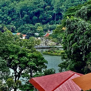 Sesatha Pensión